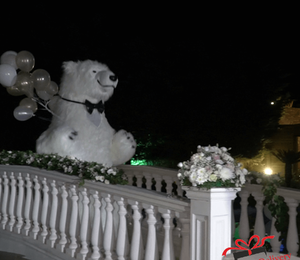 The White Polar Bear came to the wedding to deliver the gift to the bride and groom. Gift Delivery. Wedding gift. Polar bear surprise. White Polar Bear at the wedding.